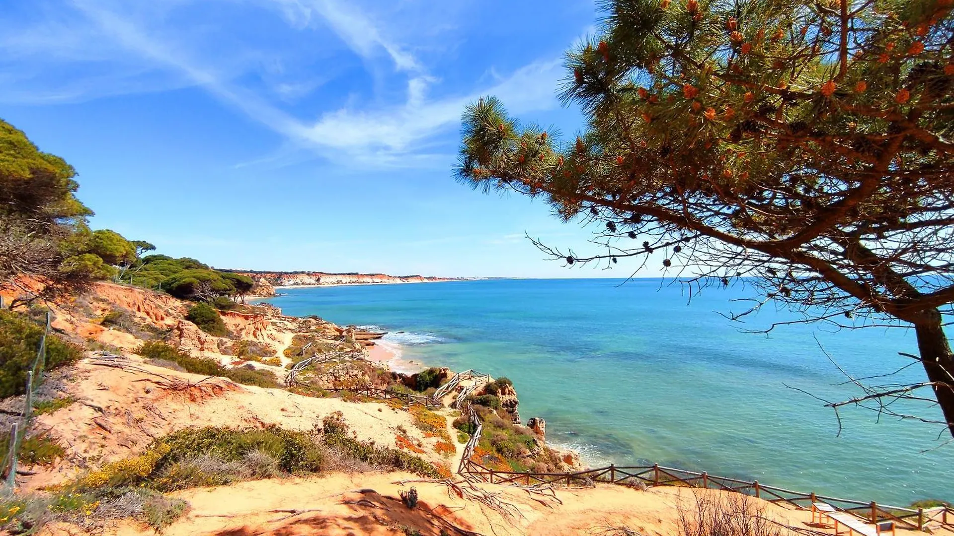 Modern Ocean, Garden & Pool View Condo By Becherish Albufeira